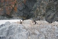 
DSC00153